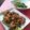 Cooksnap dari Aditya Wardhana untuk resep Ayam Suwir Daun Jeruk