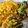 Cooksnap dari Putri Suryani untuk resep Gulai Sayur ala RM Kapau
