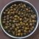 Aamna habib1 का कुकस्नैप जब उन्होंने काले चने सब्जी (kale chane sabzi recipe in Hindi) बनाया था।