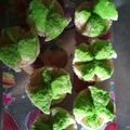 Cooksnap dari ichaa_ untuk resep Roti KuKus Ngakak super Praktis