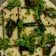 Shubhangi Asabe Katkar का कुकस्नैप जब उन्होंने सूजी का ढोकला (Sooji Ka Dhokla recipe in Hindi) बनाया था।