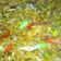Cooksnap dari Mbiw Mm Poenya untuk resep Orek Tempe