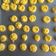 Cooksnap dari istiqomah untuk resep Kue Soes/Sus Kering isi Cokelat