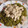 El cooksnap de Jorge Garcia cuando hizo Dados de pechuga de pollo con arroz verde.