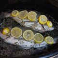 Cooksnap από Anna Giallourakis στη συνταγή Τσιπούρες λεμονάτες στη γάστρα!