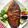 Cooksnap dari Rini Dwi Astuti untuk resep Gurame Bakar Bumbu Merah