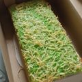 Cooksnap dari Yani S Raharjo untuk resep Bolu pandan 2 telur super lembut (metode All in one)