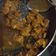 Cooksnap dari Yasss untuk resep Semur daging betawi