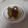 El cooksnap de Loli Morente cuando hizo Chuletas de pavo a la plancha.