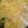 Sarika Uthaya's cooksnap of when they made முள்ளங்கி சாம்பார் (mullangi sambar recipe in Tamil).