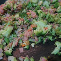El cooksnap de Ethel cuando hizo Ensalada de brócoli.