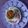 Smitaben R dave's cooksnap of when they made રાઈ વાળા લાલ મરચાં (Rai Vala Lal Marcha Recipe In Gujarati).