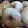 Cooksnap dari Sarah Azkia untuk resep Donat Sp eggless ekonomis