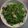 邱美惠 的 龍鬚菜炒肉絲 cooksnap