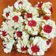Cooksnap dari illa99 untuk resep Kue semprit jadul 1/2 kg