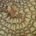 صورة من استغفر الله وأتوب إليه، شاركها بعد تجربة وصفة كيكة اسفنجية بنكهه النسكافية