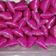 Cooksnap dari Ida Rossy untuk resep Jus SiNaga (sirsak-buah naga)...tinggi anti oksidan