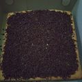 Cooksnap dari Dewi Anggraeni untuk resep Bolu lembut