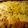 lynnhale's cooksnap of when they made Garlic cheese bread.