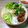 Cooksnap của DiepngocNguyen khi họ làm theo món Bún thịt nướng