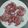 Cooksnap dari Alifah Lestari untuk resep Mie Wortel Homemade