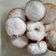 Cooksnap dari Rina Kurniati untuk resep Donat enteng segala gala