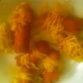 Cooksnap dari hendervina jubelina lasamahu untuk resep Sosis Gulung Mie Goreng