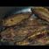 Deepika Arora का कुकस्नैप जब उन्होंने स्टफ्ड करेला (Stuffed karela recipe in Hindi) बनाया था।