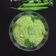 Aanal Avashiya Chhaya's cooksnap of when they made ગ્રીન ચટણી (Green Chutney Recipe In Gujarati).