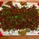 صورة من Hamoudy's Kitchen، شاركها بعد تجربة وصفة باطرش حموي