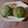 Mystical Childe's cooksnap of when they made Matcha Cupcakes.