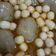 Cooksnap dari nins untuk resep Baso Aci Kuah