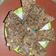 El cooksnap de Anita cuando hizo Barras de cereal saludables.