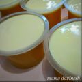 Cooksnap dari Diah Yulianti untuk resep Vla Puding Tanpa Telur