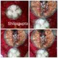 Shilpi gupta का कुकस्नैप जब उन्होंने मक्खन (makhan recipe in Hindi) बनाया था।