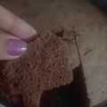 El cooksnap de Maria Belen Gonzaleez cuando hizo Torta de Chocolate con Harina de Arroz 🙌🏻❤️.