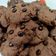 Cooksnap dari Ketapang 001 untuk resep Chocolate Chip Cookies ala Good Time