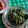 Cooksnap dari riska sari untuk resep Kangkung tumis belacan