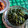 Cooksnap dari riska sari untuk resep Kangkung tumis belacan