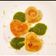 il Serena Delfi quando ha preparato Tortelli di Trota con Pesto liquido di Menta, Prezzemolo e Limone