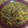 El cooksnap de anmulero cuando hizo Trigo con verduras.