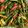 NEHAL SULE's cooksnap of when they made Chilli Carrot Pickle.