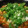 El cooksnap de Andres Girabel cuando hizo Potaje de bacalao con garbanzos y espinacas baby.