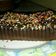 Cooksnap dari Asniar Zainal untuk resep Brownies kukus syantikk ala DBD CAKE