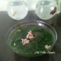 Cooksnap của Hà Trang khi họ làm theo món Canh rau ngót nấu với thịt băm