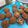 Cooksnap dari Shirley Carolina untuk resep Brownies oven