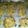 Cooksnap de Simakke sur la recette Cookies aux corn flakes et aux pépites de chocolat
