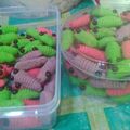 Cooksnap dari nona tyo's Kitchen untuk resep Cookies Ulat / Semprit Susu (5 Bahan, Ekonomis & Mudah)