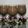 صورة من Hanen Ali، شاركها بعد تجربة وصفة طريقه عمل عصير  الاوريو