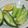 Cooksnap Sukri Dollah semasa beliau membuat Jus peria katak.